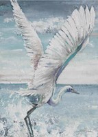 Framed Great Egret Flying