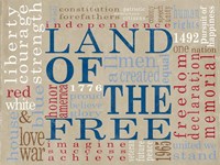 Framed Land Of The Free