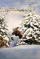Framed Moose Moment