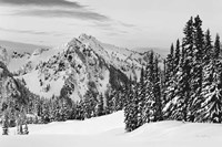 Framed Tatoosh Range BW