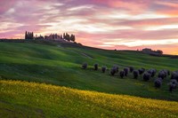 Framed Tuscany Palette