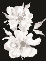 Framed Black & White Flowers I