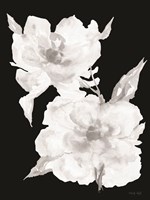 Framed Black & White Flowers II