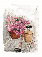 Framed Bicycle in Spring