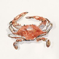 Framed Crusty Crab II