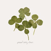 Framed Pressed Clover I