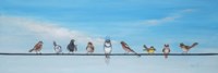 Framed Sweet Birds on a Wire II