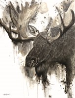 Framed Bull Moose