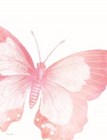 Framed Pink Butterfly V