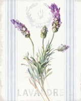 Framed 'Floursack Lavender II' border=