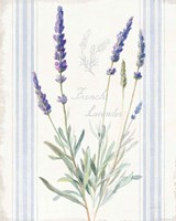 Framed 'Floursack Lavender I' border=