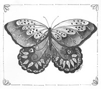 Framed Butterfly VII