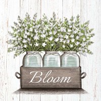 Framed 'Bloom' border=