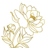 Framed Gold Floral III