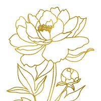 Framed Gold Floral IV