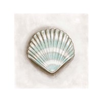 Framed Shell III