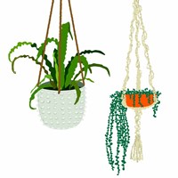 Framed Hanging Plant Duo