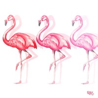 Framed 'Flamingo Trio II' border=