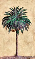 Framed Coconut Tribal Palm I