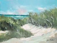 Framed Beach Coast Grass