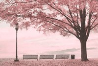 Framed Moody Pink Day in the Park