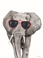 Framed Looking Cool Elephant