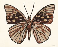 Framed Papillon 1
