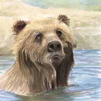 Framed Bear Bath
