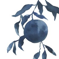 Framed 'Indigo Oranges IV' border=