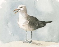 Framed Simple Seagull II