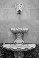 Framed Black & White Fountains I