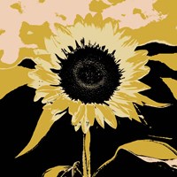 Framed Pop Art Sunflower IV