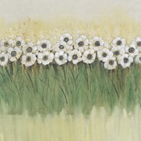 Framed Rows of Flowers II