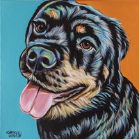 Framed Rottweiler I