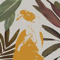 Framed Graphic Tropical Bird II