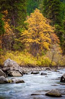 Framed Autumn Across The River