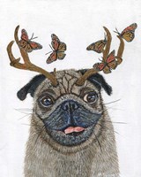 Framed Pug With a Big Rack