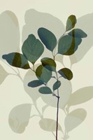 Framed Green Leaves 7