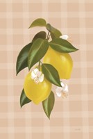 Framed Lemon Botanical I
