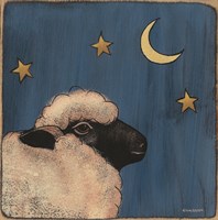 Framed Little Sheep