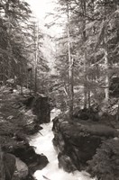 Framed Avalanche Trail