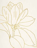 Framed Gold Magnolia Line Drawing v2 Crop