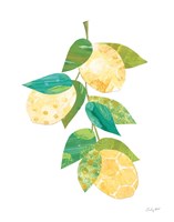 Framed Summer Lemons II