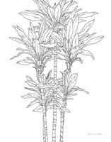 Framed Sketched Tree II