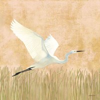 Framed 'Egret Alighting II' border=