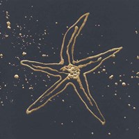 Framed Gold Starfish II