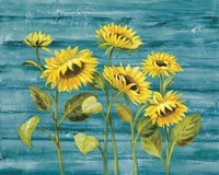 Framed Cottage Sunflowers Teal