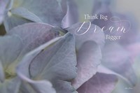 Framed Think Big - Dream Bigger
