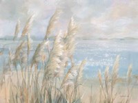 Framed Seaside Pampas Grass