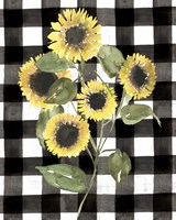 Framed 'Buffalo Check Sunflower II' border=